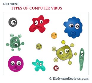 I'd like to share some commonly seen viruses here. Classification - Computer Virus