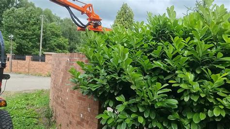 Hedge Cutters For Compact Tractors Beckside Machinery