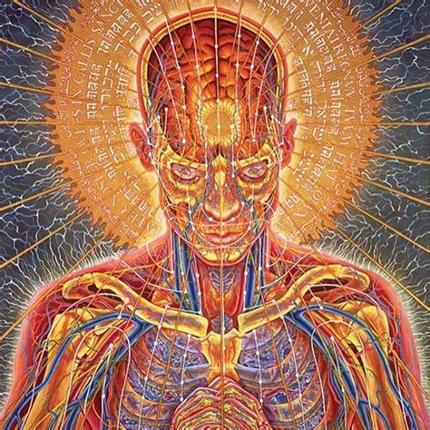 Alex Grey Interview Art Gallery And Visionary Videos