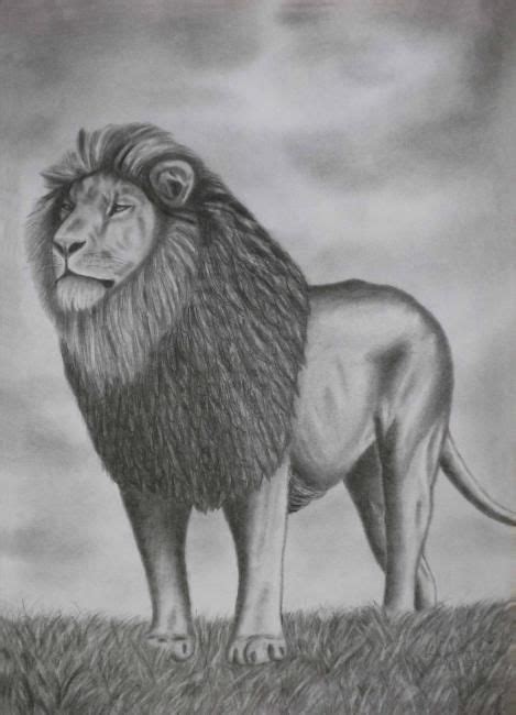 Drawing Of A Lion Pencil On Paper Dessi Painting By Luigi Carlo