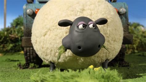Shaun The Sheep S02e27 Youtube