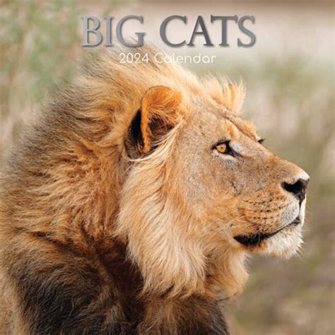Buying Big Cats Calendar 2024 Quick And Easy Online