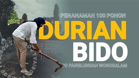 Durian Bido Wonosalam Kenduren Durian Wonosalam 2020 Youtube