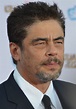 Benicio del Toro - Wikiwand