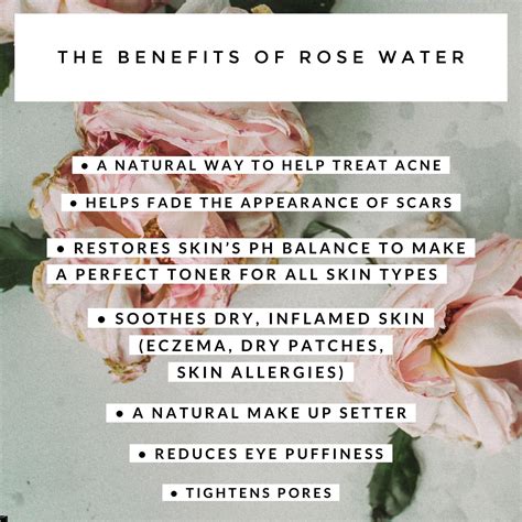 Rose Waterorganic Rose Waterskincare Tipsbenefits Of Rose Water