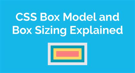 Explained Box Model In Css Learnersbucket Vrogue