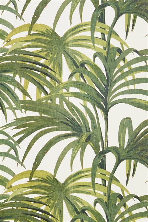 Take them on tour outside and do leaf rubbing. Tropical Palm Leaf Wallpaper (24+ images)