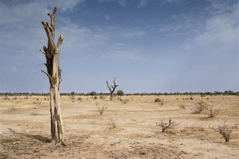 Desertification In Africa 10 Things You Must Know