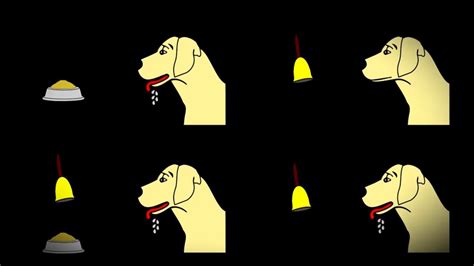 Ivan Pavlovs Dog Experiment What Is Conditioned Reflex Youtube