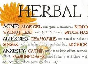 Herbal Remedies Chart