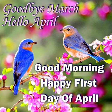 Goodbye March Hello April Images Quotes Pictures For Facebook