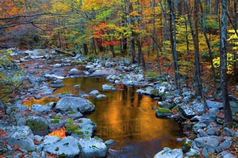 Usa North America Tennessee Fall Foliage And