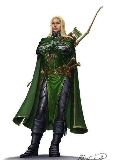 Female Elf Fighter Archer Pathfinder Pfrpg Dnd Dandd D20 Fantasy