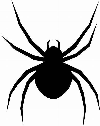 Spider Widow Icon Svg Halloween Tarantula Arachnid