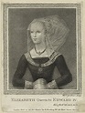 Never Before Seen Portrait of Elizabeth Woodville – Tudors Dynasty