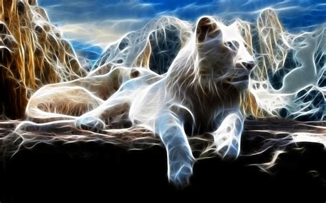 White Lion Full Hd Wallpaper And Background Image 1920x1200 Id372091