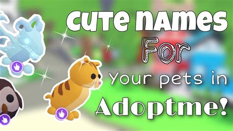 Cute Names For Your Pets In Adoptme Neptuneboba ꧂ Youtube