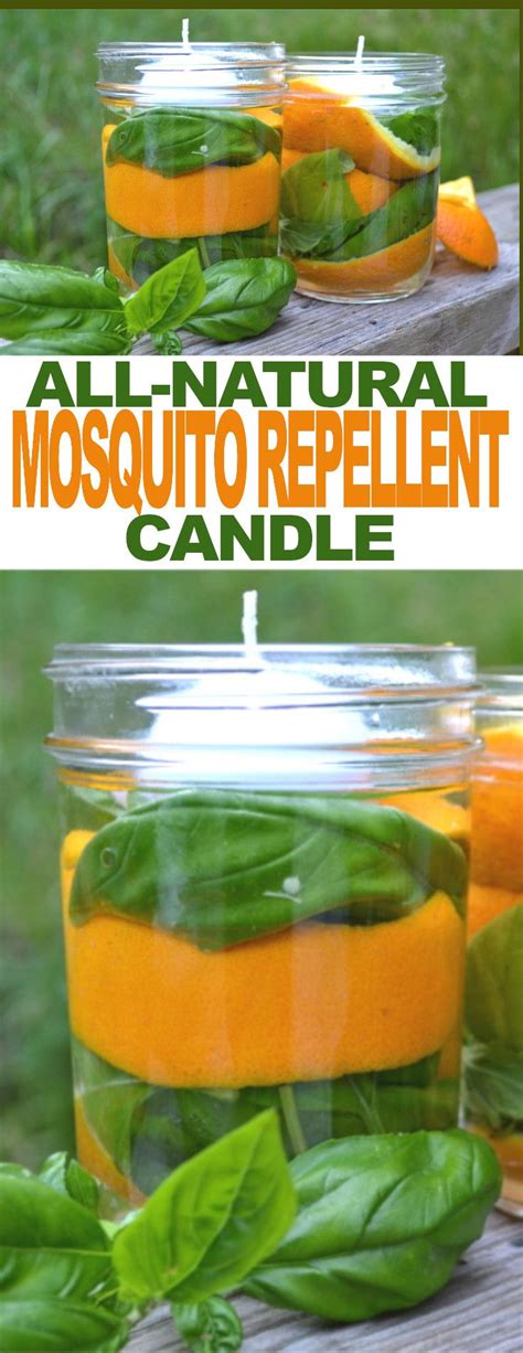 Diy All Natural Mosquito Repellent Candles Fluster Buster Mosquito