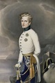 What happened to Napoleon's son? | Napoléon ier, Napoléon bonaparte ...