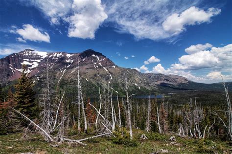 5 Day Glacier National Park Itinerary Sea To Sequoia