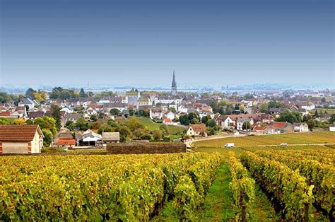 Classement Sites De Vente De Vins De Bourgogne Rvf Idealwine Sur Le