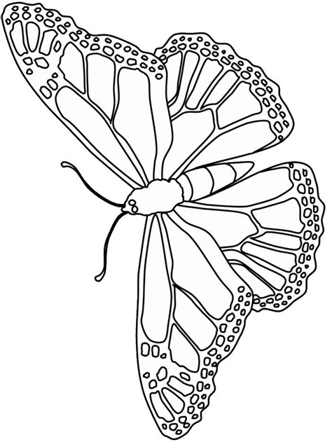 Butterfly in mandala design printable coloring page. coloring pages of flowers and butterflies | RYNAKIMLEY