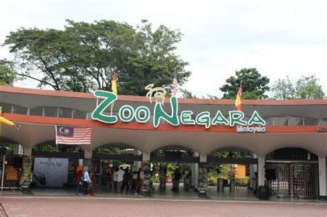 Zoo negara merupakan zoo yang terbesar di malaysia. RMCO OPEN Travelog Zoo Negara Malaysia Ticket | Travelog
