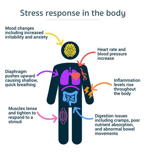 The Best Breathing Techniques To Help You Get Out Of Stress Telespine
