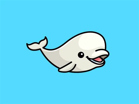 Beluga Whale Beluga Whale Whale Beluga