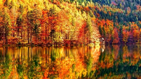 Yellow Red Green Orange Leaves Trees Forest Reflection On River Hd Fall