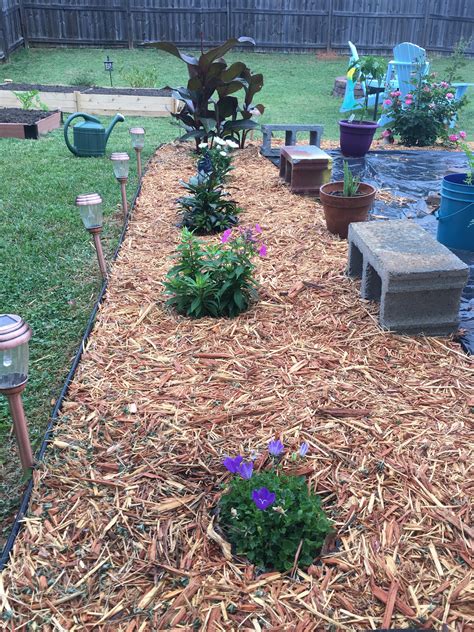 Mock dates are pseudo first dates where a client and i meet in real life and go through the typical protocol of a first date. First Phlox flowers : gardening