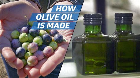 How Olive Oil Is Farmed And Processed At The Countrys Biggest Producer