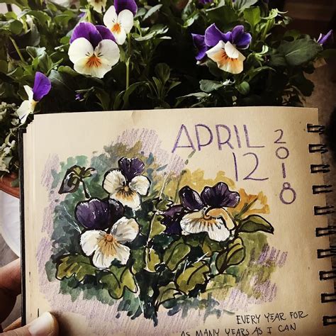 Starting The Day With A Little Sketch In My Naturejournal Pansies