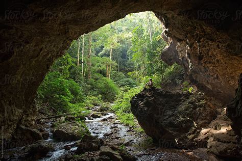 Jungle Cave Ubicaciondepersonascdmxgobmx