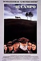 Il campo (1990) - Filmscoop.it