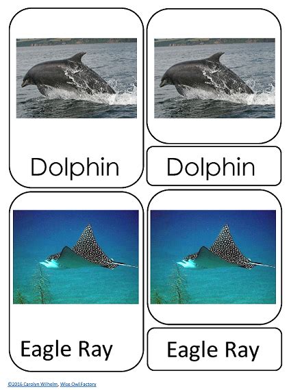 Ocean Animals 3 Part Cards Free 3 Part Cards Pdf Wise Owl Factory