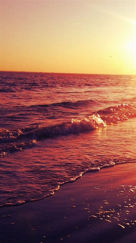 Ocean Sunset Golden Shore Waves Iphone 5 Wallpaper Hd