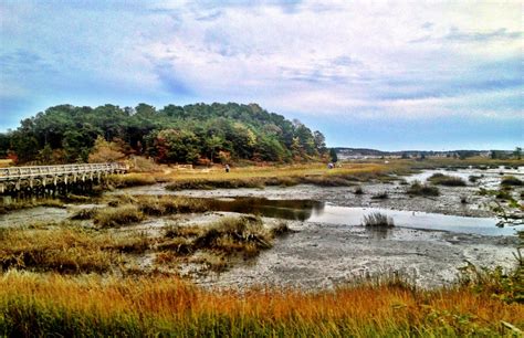 Colony Of Wellfleet A Very Special Sense Of Place