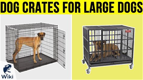 10 Best Dog Crates For Large Dogs 2019 Youtube