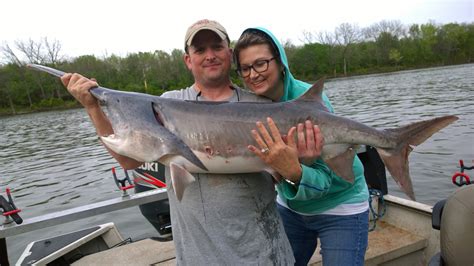 Spoonbill Aka Paddlefish Fort Gibson Lake Oklahoma Lances Fishing