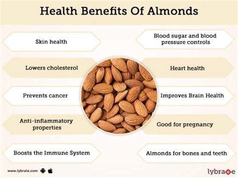 Benefits Of Almonds And Its Side Effects Lybrate