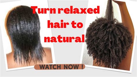 How To Change Relaxed Hair To Natural Hair Big Chop And Transitioning