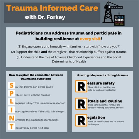 Trauma Informed Care Plan Samples