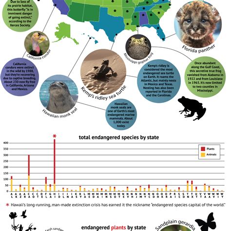 Which Us States Have The Most Endangered Species Infographic