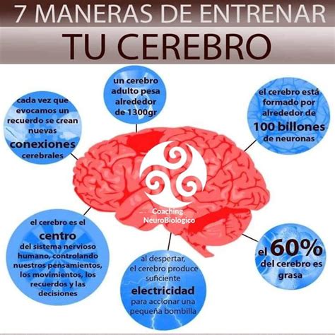 7 Maneras De Entrenar Tu Cerebro Coaching De Salud Integral