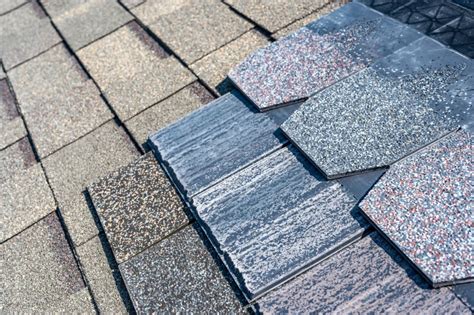 5 Best Impact Resistant Shingles For Your Roof 2023