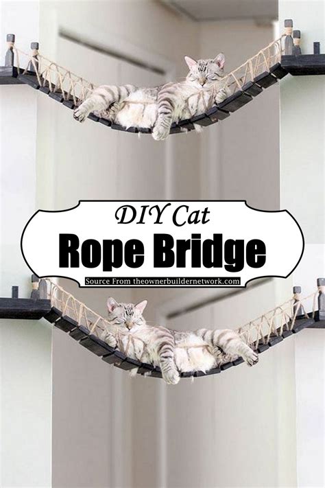 9 Diy Cat Bridge Ideas For Feline Pet Owners Diyscraftsy