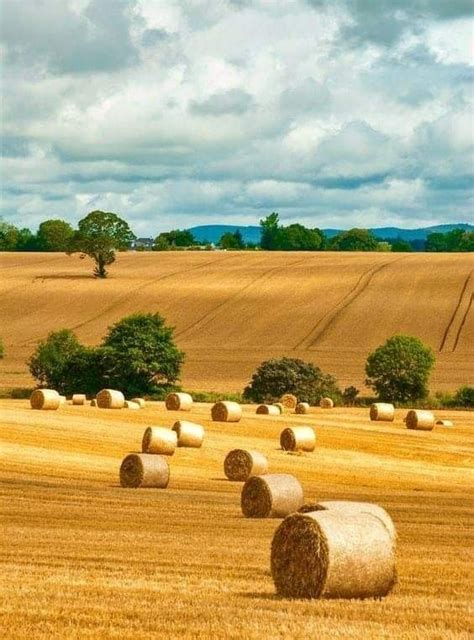 Pin By Becky Cagwin On Country Life In 2020 Country Country Living