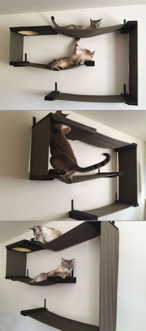 Cat shelves are a type of cat furniture that provides cats with vertical space. This is what the walls in Cat Heaven must look like ...