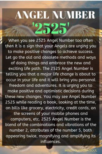 angel number   meaning mind  body soul